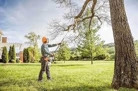 Best Tree Maintenance Programs  in Roseland, OH